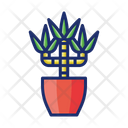 پیش‌نمایش فایل dracaena-4671460 از پک گیاهان