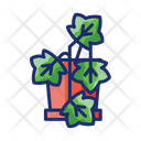 پیش‌نمایش فایل english-ivy-4671463 از پک گیاهان