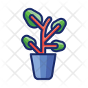 پیش‌نمایش فایل ficus-4671466 از پک گیاهان