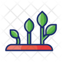پیش‌نمایش فایل growth-4671476 از پک گیاهان
