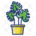 پیش‌نمایش فایل monstera-4671484 از پک گیاهان