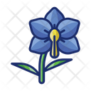 پیش‌نمایش فایل orchid-4671486 از پک گیاهان