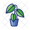 پیش‌نمایش فایل philodendron-4671491 از پک گیاهان