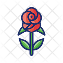 پیش‌نمایش فایل rose-4671502 از پک گیاهان