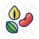 پیش‌نمایش فایل seed-4671504 از پک گیاهان