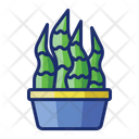 پیش‌نمایش فایل snake-plant-4671505 از پک گیاهان
