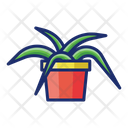 پیش‌نمایش فایل spider-plant-4671508 از پک گیاهان