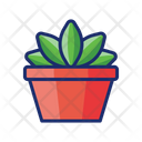 پیش‌نمایش فایل succulent-4671513 از پک گیاهان
