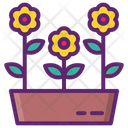 پیش‌نمایش فایل flowers-4670896 از پک آسایش