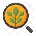 پیش‌نمایش فایل organic-search-results-4870588 از پک سئو