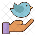 پیش‌نمایش فایل freedom-4921954 از پک سفر انفرادی