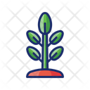 پیش‌نمایش فایل plant-4946792 از پک توسعه پایدار
