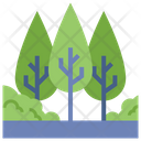 پیش‌نمایش فایل forest-4946685 از پک بقا