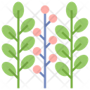 پیش‌نمایش فایل wild-plants-4946742 از پک بقا