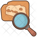 پیش‌نمایش فایل archaeology-4946568 از پک علم