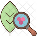 پیش‌نمایش فایل biology-4946574 از پک علم
