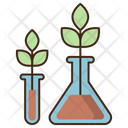 پیش‌نمایش فایل botany-4946576 از پک علم