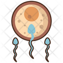 پیش‌نمایش فایل human-fertilization-4946600 از پک علم