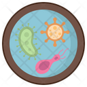 پیش‌نمایش فایل microbiology-4946615 از پک علم