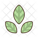 پیش‌نمایش فایل leaf-4946302 از پک اکولوژی