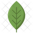 پیش‌نمایش فایل leaf-4946374 از پک اکولوژی