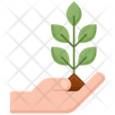 پیش‌نمایش فایل plant-in-hand-4946381 از پک اکولوژی
