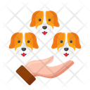 پیش‌نمایش فایل dog-breeder-4957270 از پک مراقبت حیوان خانگی