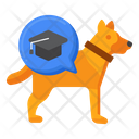 پیش‌نمایش فایل dog-training-4957272 از پک مراقبت حیوان خانگی