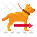 پیش‌نمایش فایل dog-walking-4957273 از پک مراقبت حیوان خانگی