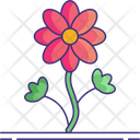 پیش‌نمایش فایل flower-5149642 از پک روز زن