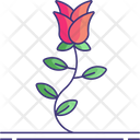 پیش‌نمایش فایل rose-5149663 از پک روز زن