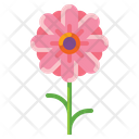 پیش‌نمایش فایل flower-5149591 از پک روز زن