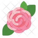 پیش‌نمایش فایل rose-5149612 از پک روز زن