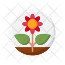پیش‌نمایش فایل plants-5149484 از پک گرمایش جهانی