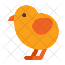 پیش‌نمایش فایل chick-5149197 از پک عید پاک