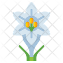 پیش‌نمایش فایل easter-lily-5149214 از پک عید پاک