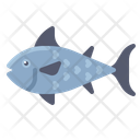 پیش‌نمایش فایل fish-5149218 از پک عید پاک
