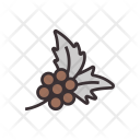 پیش‌نمایش فایل coffee-seed از پک قهوه