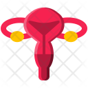 پیش‌نمایش فایل female-reproductive از پک پزشکی و مراقبت‌های بهداشتی