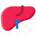 پیش‌نمایش فایل liver-46 از پک پزشکی و مراقبت‌های بهداشتی