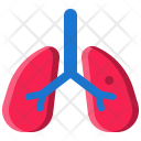 پیش‌نمایش فایل lungs-84 از پک پزشکی و مراقبت‌های بهداشتی