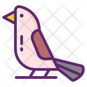 پیش‌نمایش فایل bird-5181233 از پک مراقبت حیوان خانگی