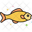 پیش‌نمایش فایل fish-5364192 از پک آشپزخانه و آشپزی