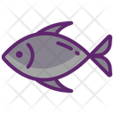 پیش‌نمایش فایل fish-5364098 از پک آشپزخانه و آشپزی