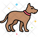 پیش‌نمایش فایل dog-walking-5364014 از پک مراقبت حیوان خانگی