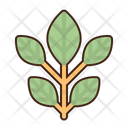 پیش‌نمایش فایل green-leaf-5372754 از پک حمل‌ونقل پایدار