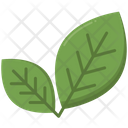 پیش‌نمایش فایل green-leaf-5372873 از پک حمل‌ونقل پایدار
