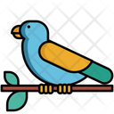 پیش‌نمایش فایل bird-5381094 از پک زیست‌شناسی