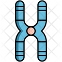 پیش‌نمایش فایل chromosome-5381100 از پک زیست‌شناسی