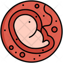 پیش‌نمایش فایل embryo-5381111 از پک زیست‌شناسی